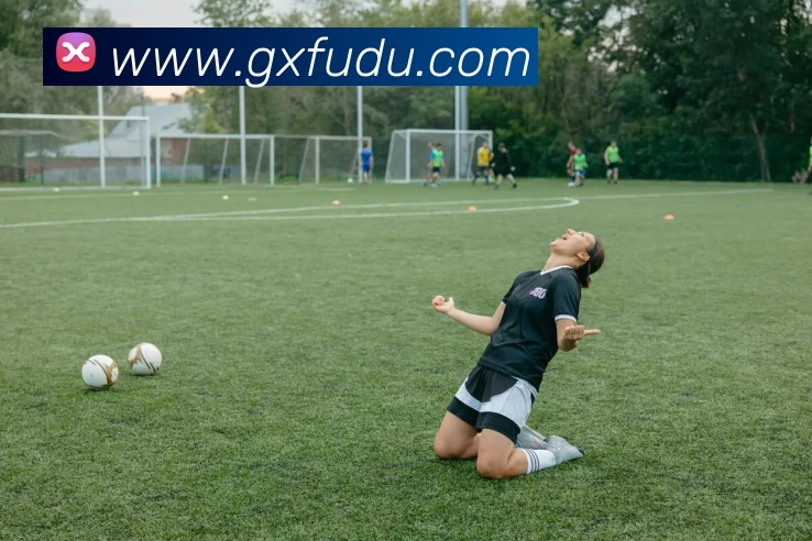 多媒体互动体验